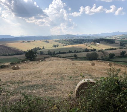 i campi Toscani